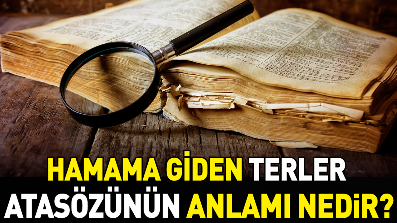 Hamama giden terler atasözünün anlamı nedir?
