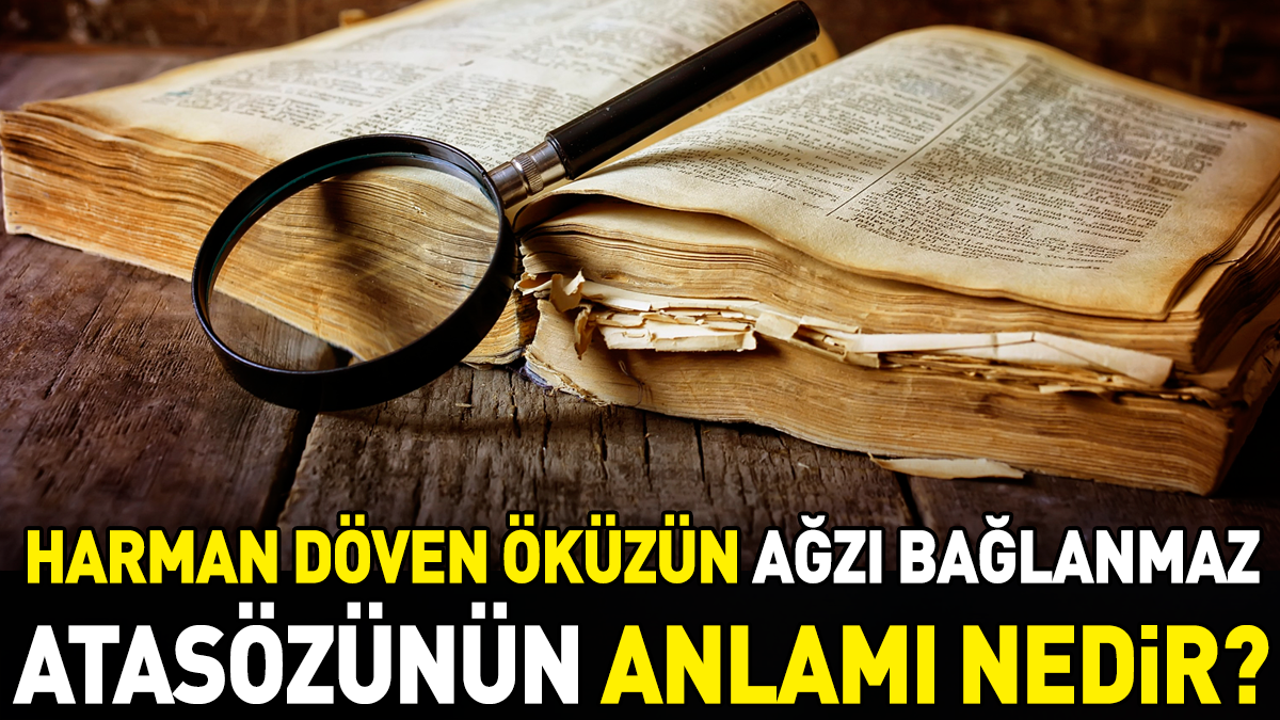 Harman döven öküzün ağzı bağlanmaz atasözünün anlamı nedir?