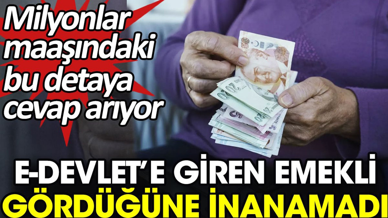E-Devlete giren emekli gördüğüne inanamadı. Milyonlar maaşındaki bu detaya cevap arıyor