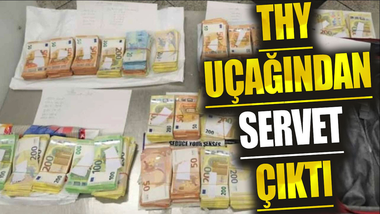 THY uçağından servet çıktı