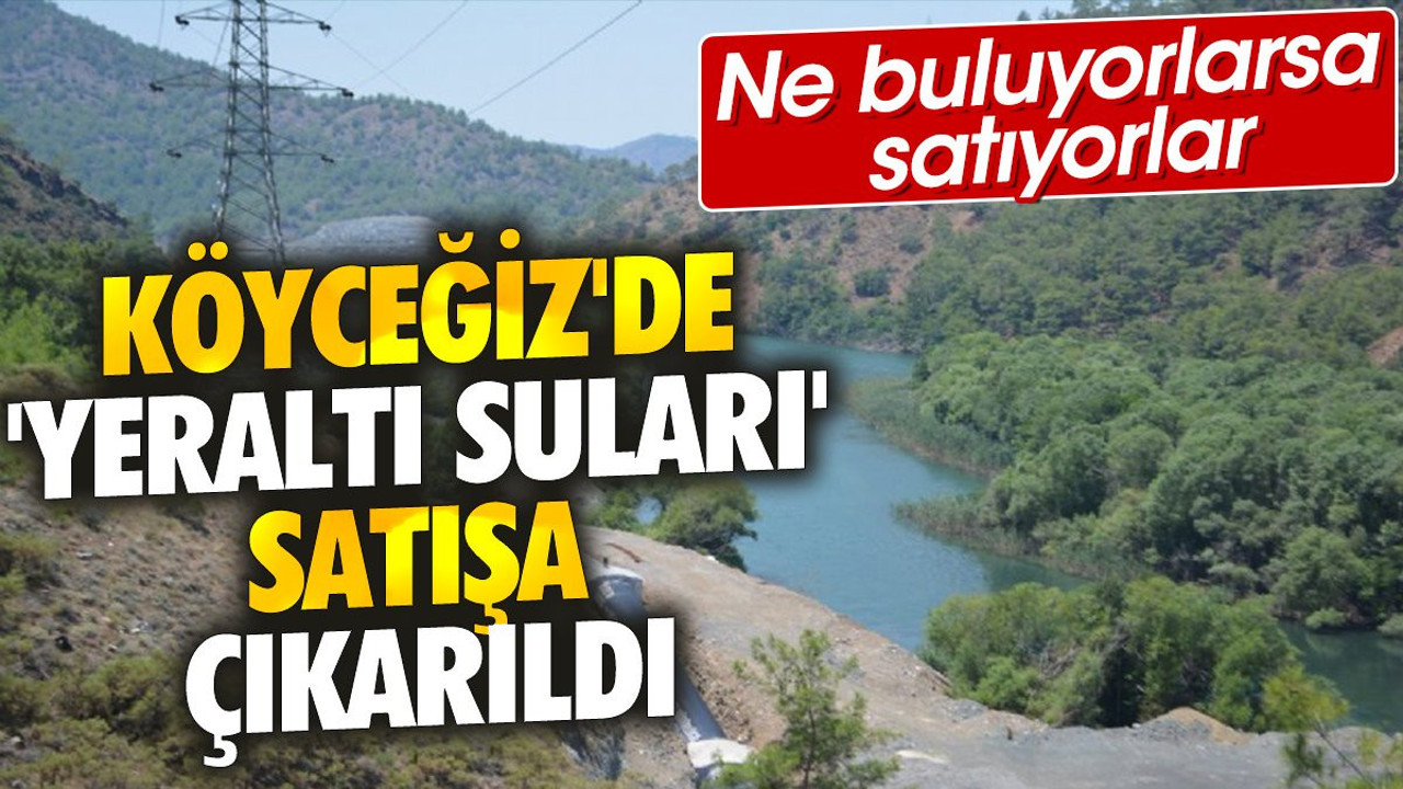 Köyceğiz'de 'Yeraltı suları' satışa çıkarıldı. Ne buluyorlarsa satıyorlar