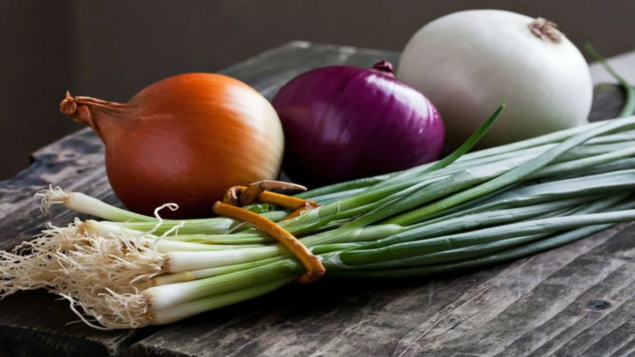 İnsülin direnci ile savaşan soğan çeşitleri hangileri