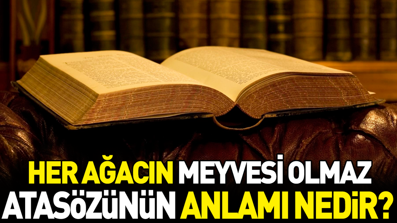 Her ağacın meyvesi olmaz atasözünün anlamı nedir?