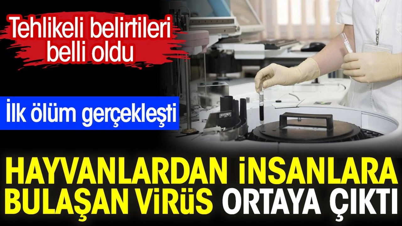 Hayvanlardan insanlara bulaşan virüs ortaya çıktı. Tehlikeli belirtileri belli oldu. İlk ölüm gerçekleşti
