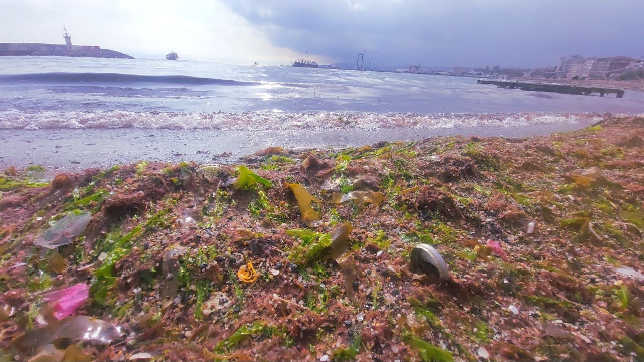 Lodos yüzünden kıyılar kızıla boyandı