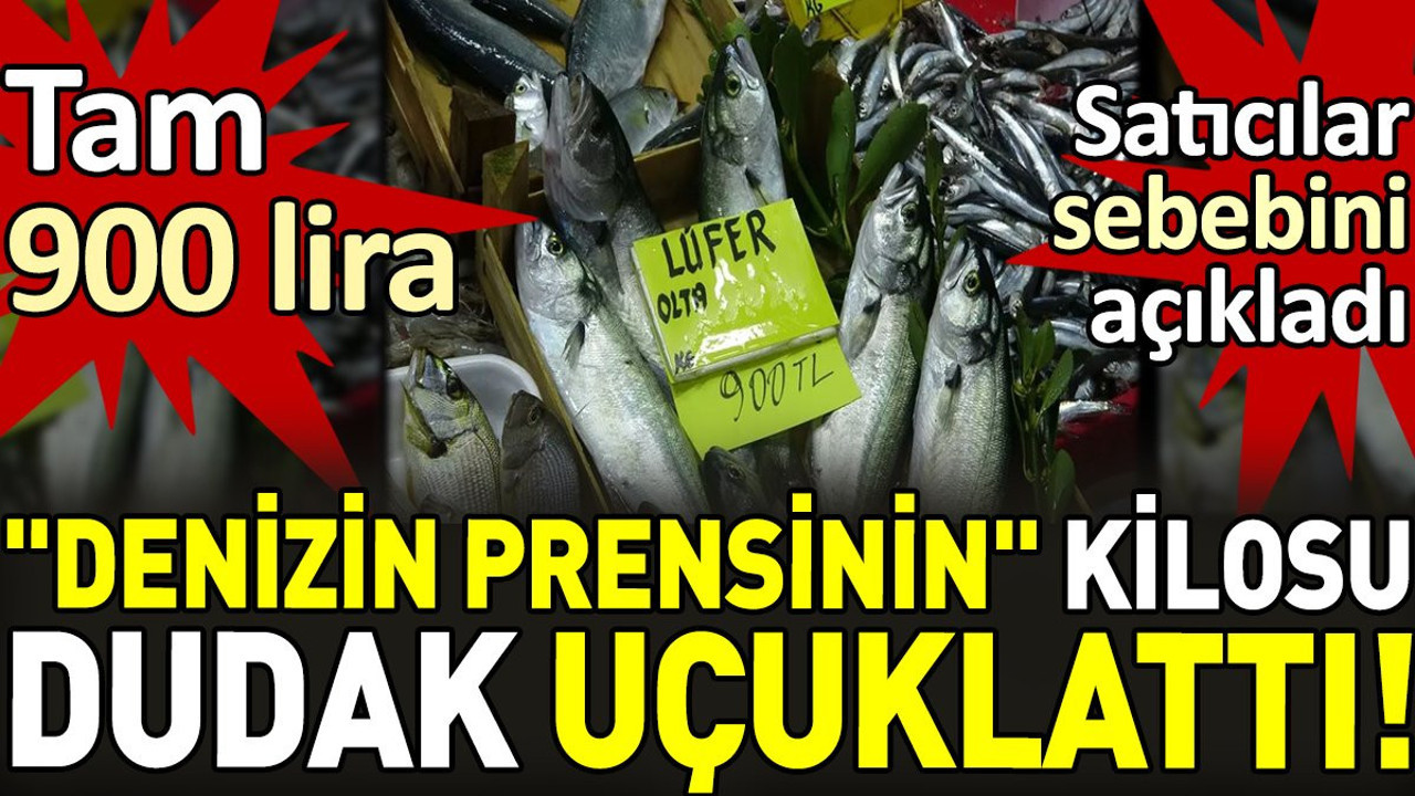 "Denizin prensinin" kilosu dudak uçuklattı. Tam 900 lira. Satıcılar sebebi açıkladı