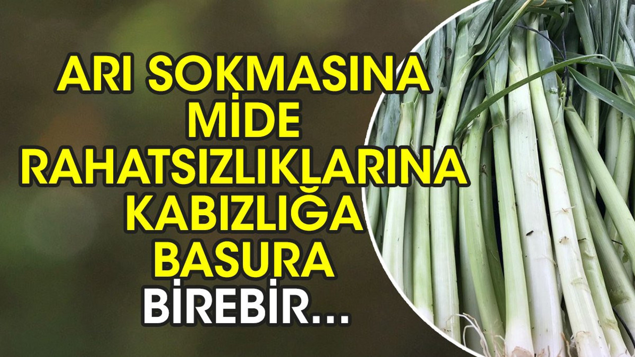 Arı sokmasına birebir. Mide rahatsızlıklarına iyi geliyor. Kabızlığı giderir. Basura faydalıdır. İşte o ot