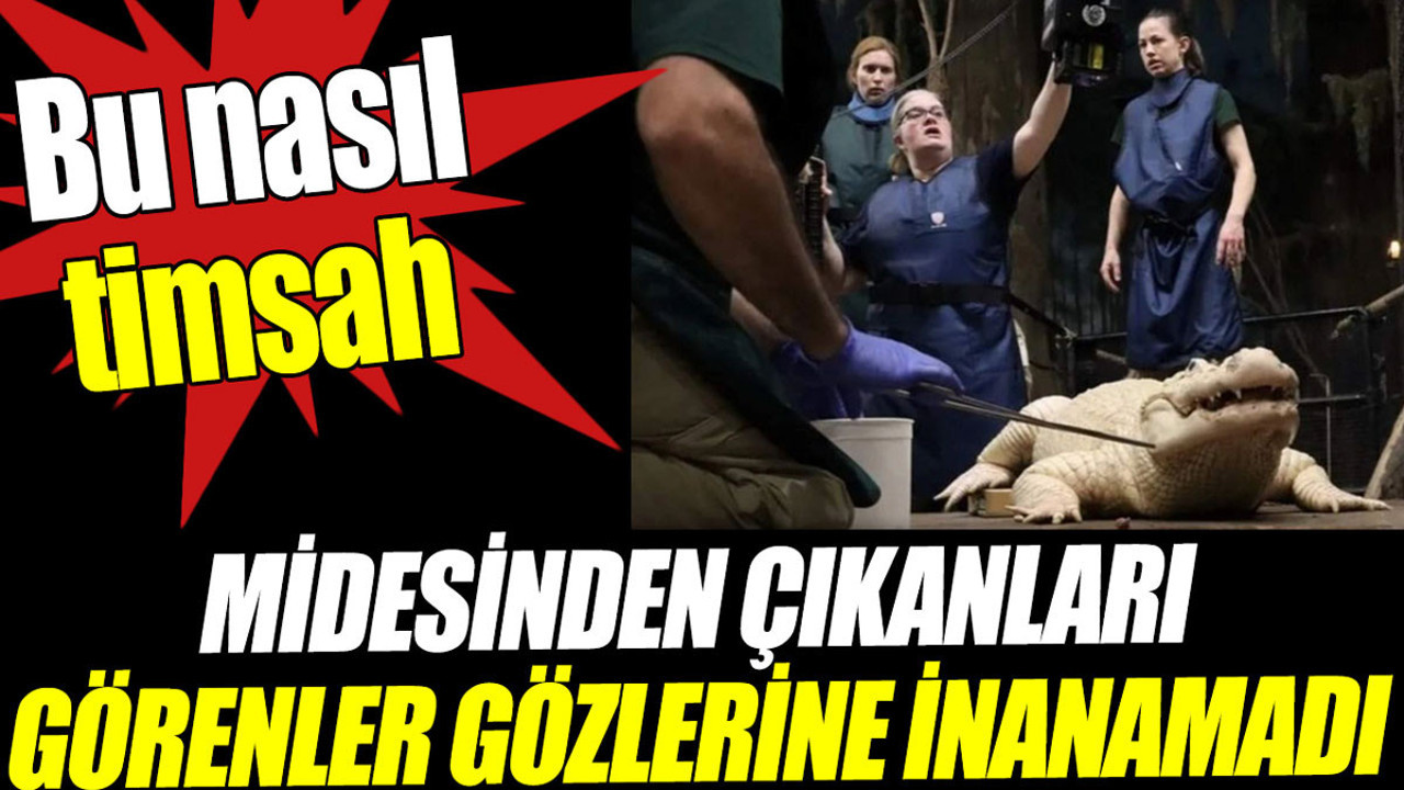 Timsahın midesinden çıkanları görenler gözlerine inanamadı