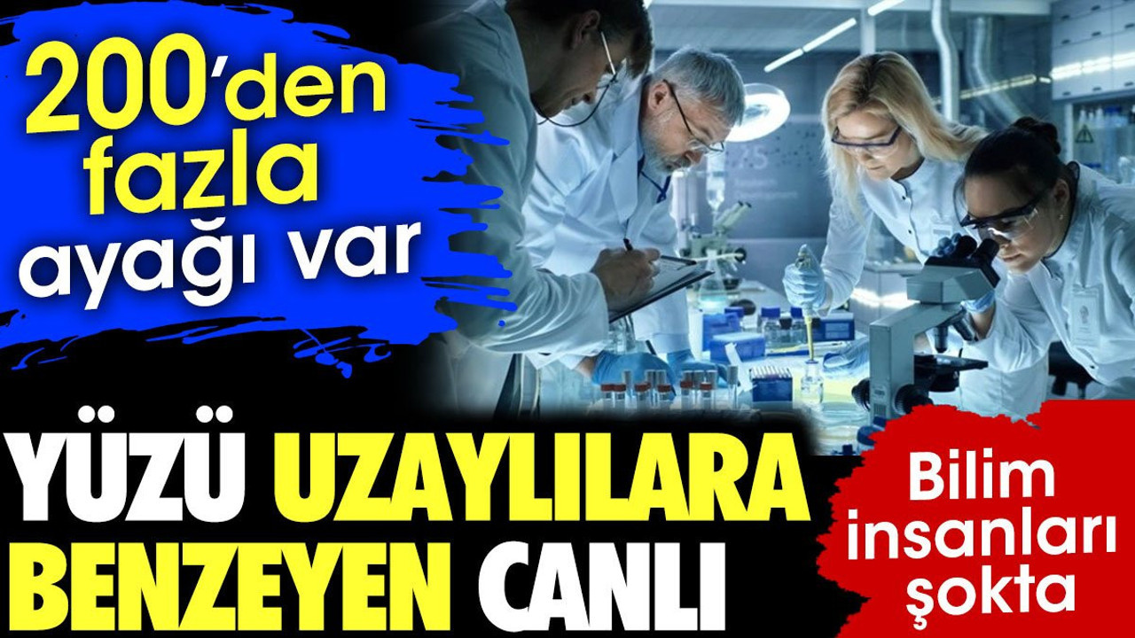 Yüzü uzaylılara benzeyen canlı. 200'den fazla ayağı var. Bilim insanları şokta