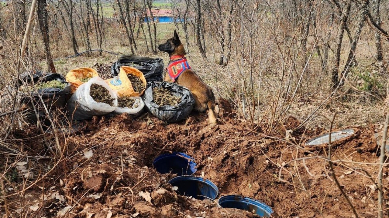 Toprağa gömdükleri onlarca kilo uyuşturucuyu polis yakaladı