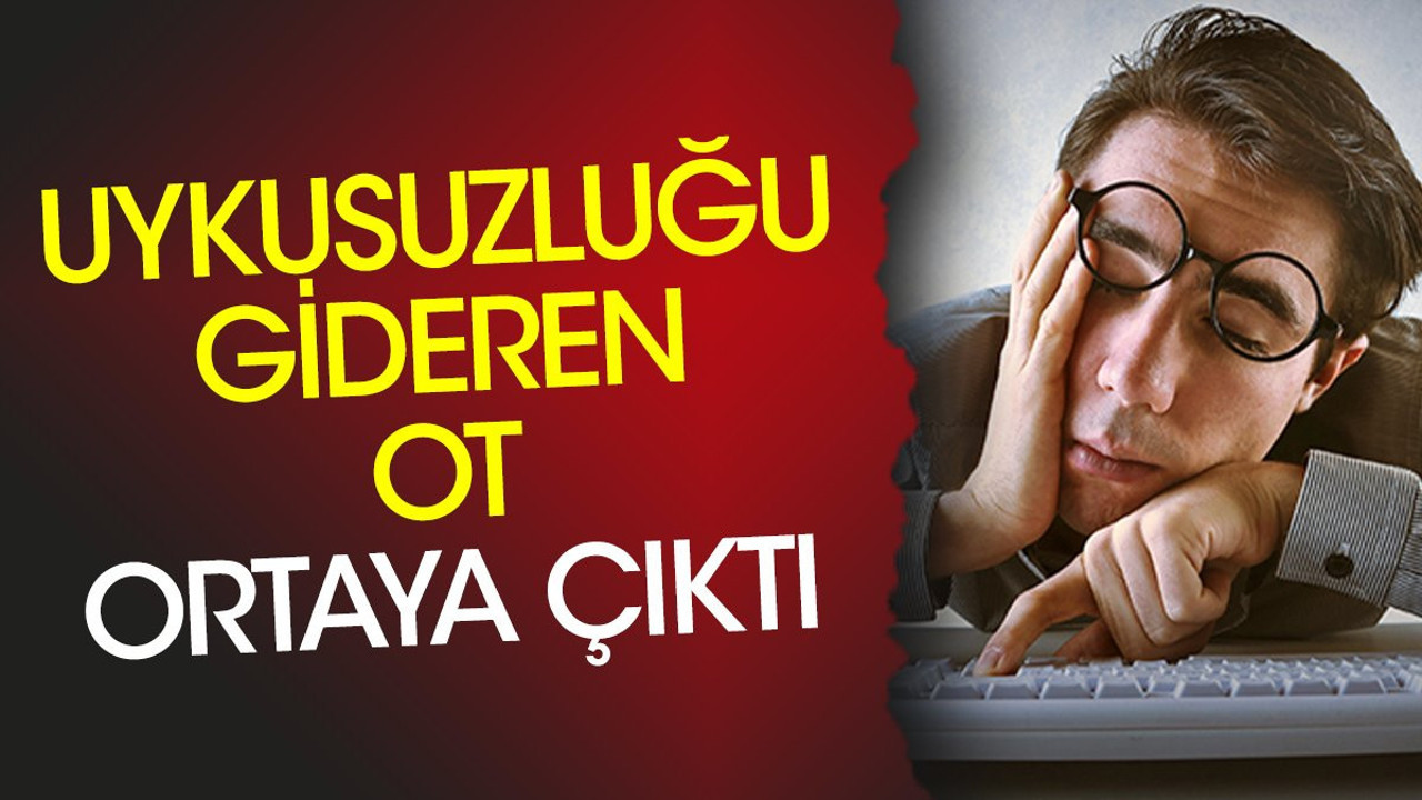 Uykusuzluğu gideriyor. Mesane taşlarının düşürülmesine yardımcı olur. İşte o ot