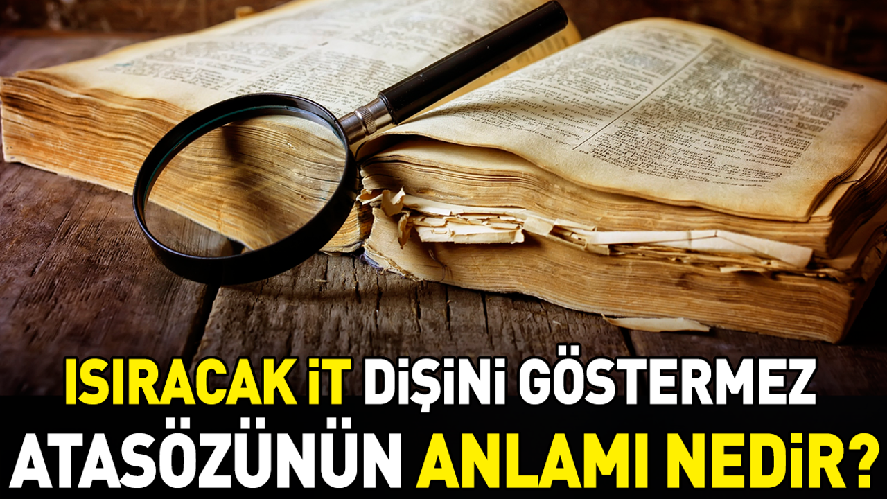 Isıracak it dişini göstermez atasözünün anlamı nedir?