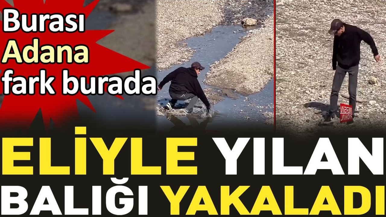 Eliyle yılan balığı yakaladı. Burası Adana fark burada...