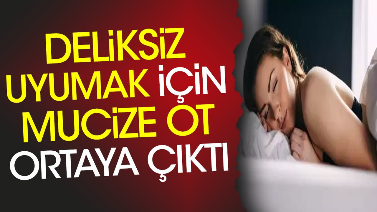 Deliksiz uyumak için mucize ot ortaya çıktı