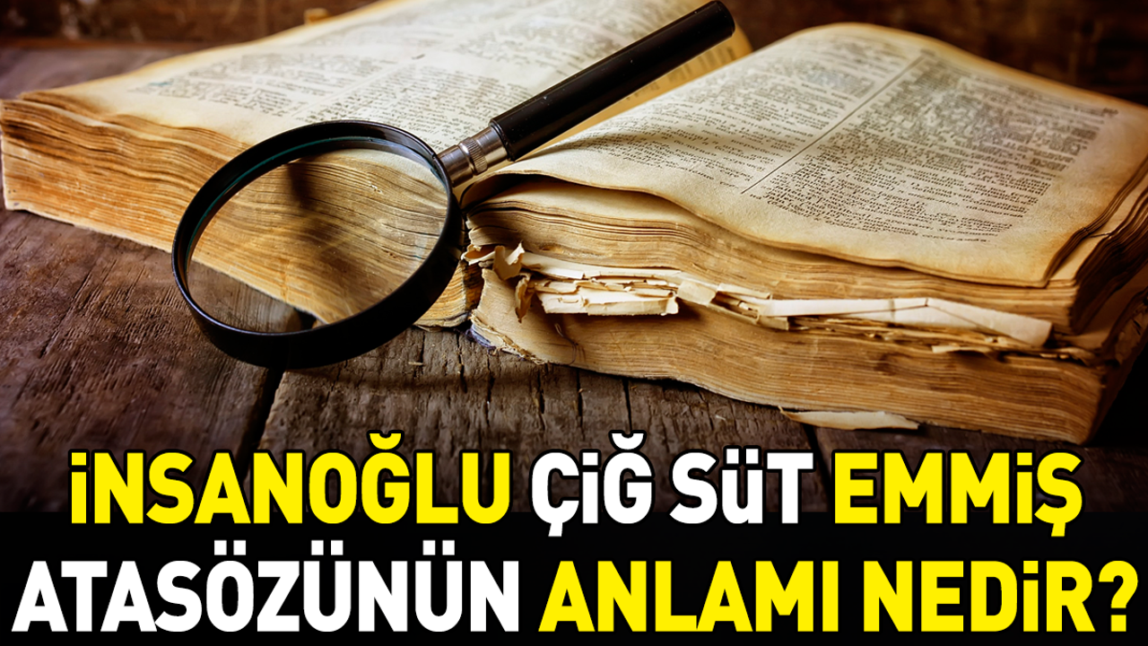 İnsanoğlu çiğ süt emmiş atasözünün anlamı nedir?