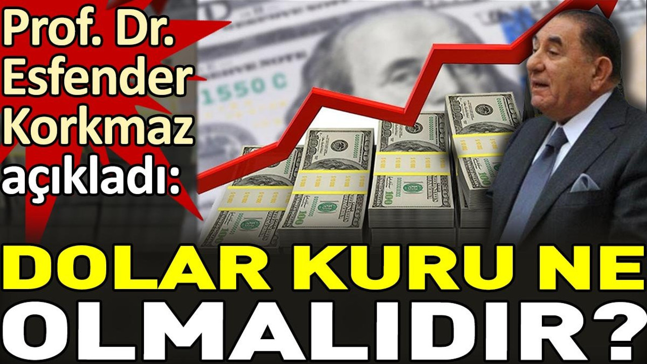 Dolar kuru ne olmalıdır? Prof. Dr. Esfender Korkmaz açıkladı