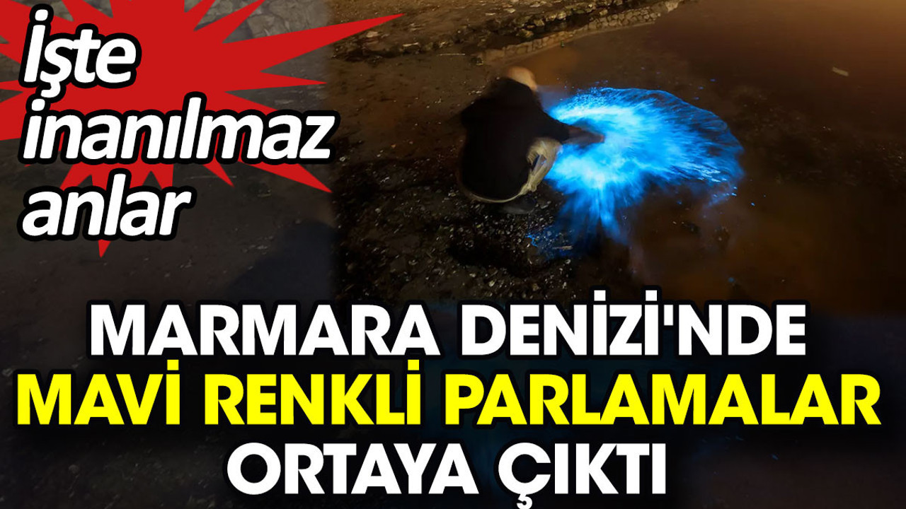 Marmara Denizi'nde mavi renkli parlamalar ortaya çıktı. İşte inanılmaz anlar
