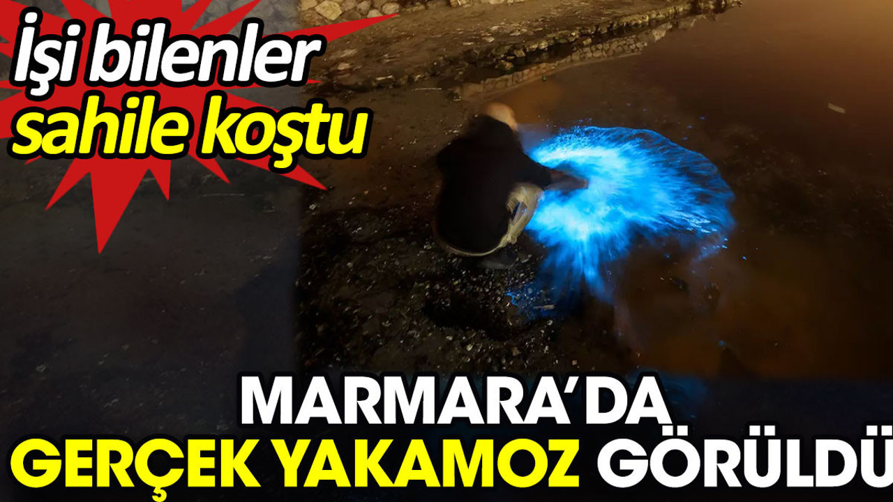 Marmara’da gerçek yakamoz görüldü. İşi bilenler sahile koştu