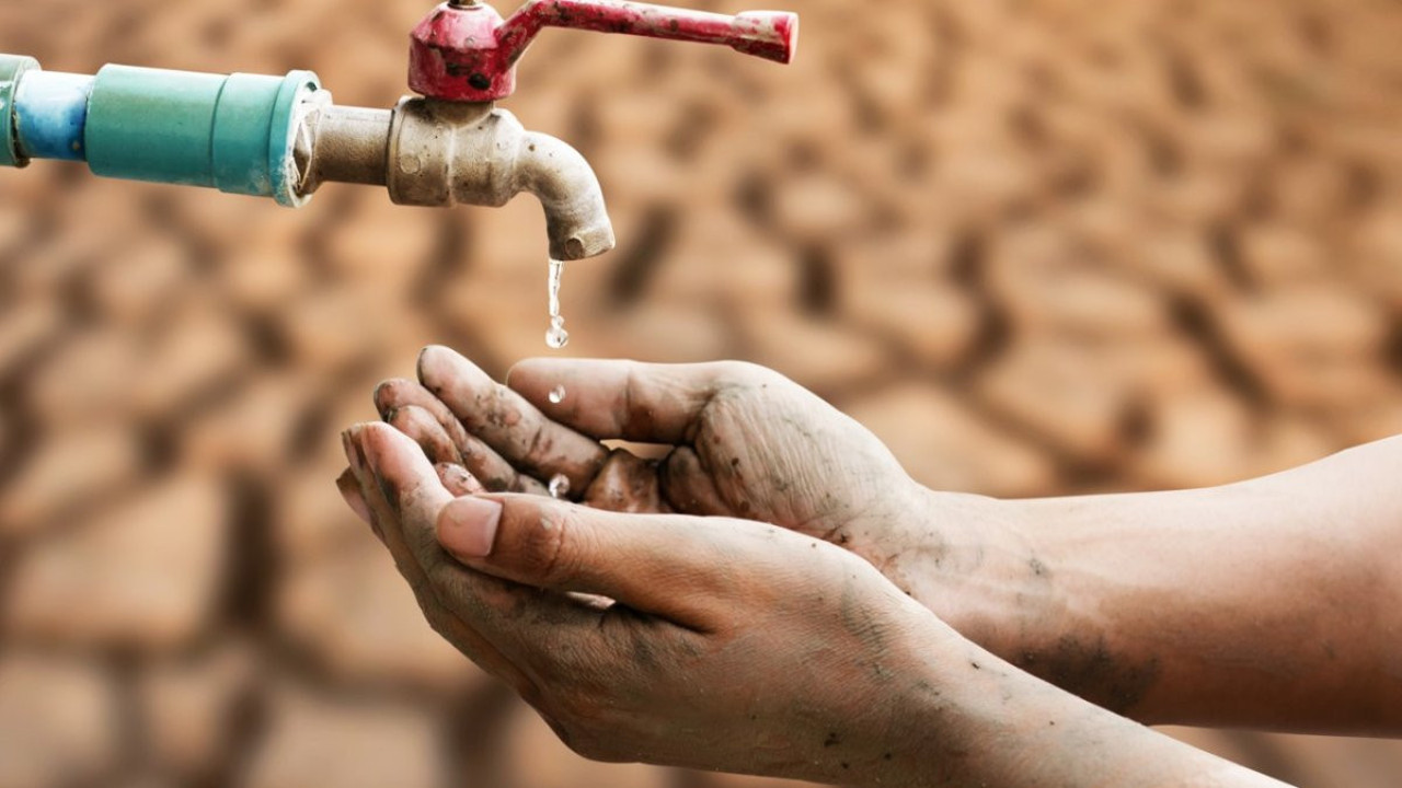 Zambiya'da kuraklıktan ötürü "ulusal afet" ilan edildi (29 Şubat 2024)