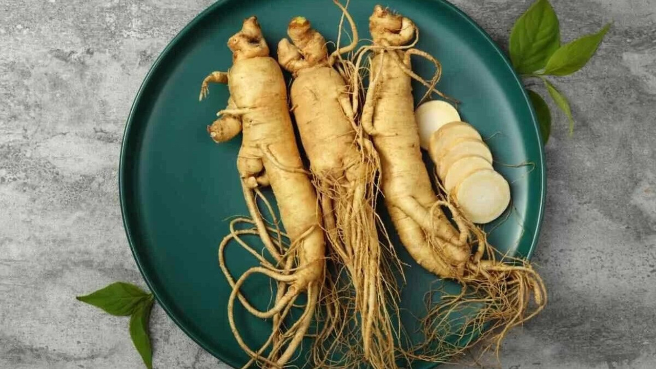 Kan şekerini dengeliyor. Bağışıklığı güçlendiriyor. Unutkanlığa savaş açıyor. İşte şifa saçan ot