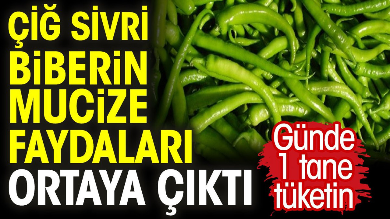 Çiğ sivri biberin mucize faydaları ortaya çıktı. Günde 1 tane tüketin