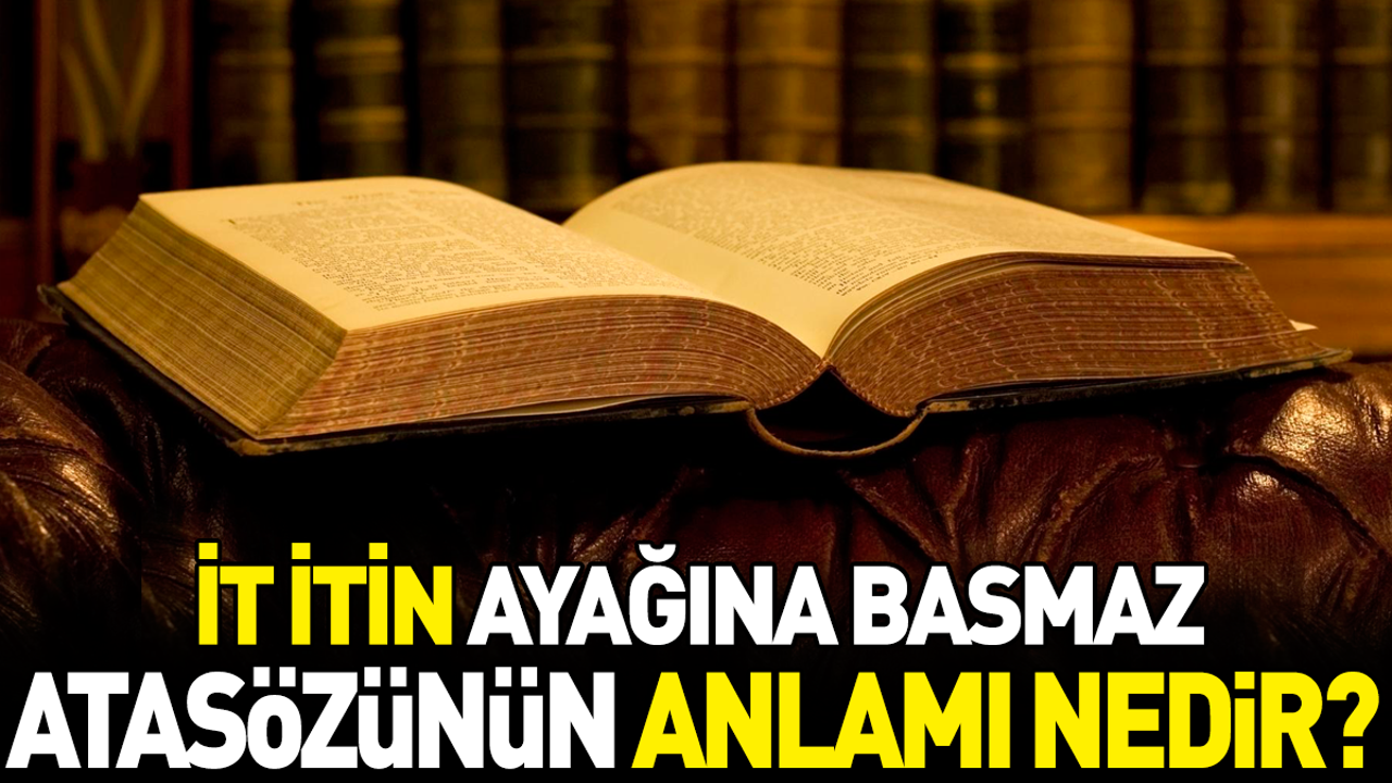 İt itin ayağına basmaz atasözünün anlamı nedir?