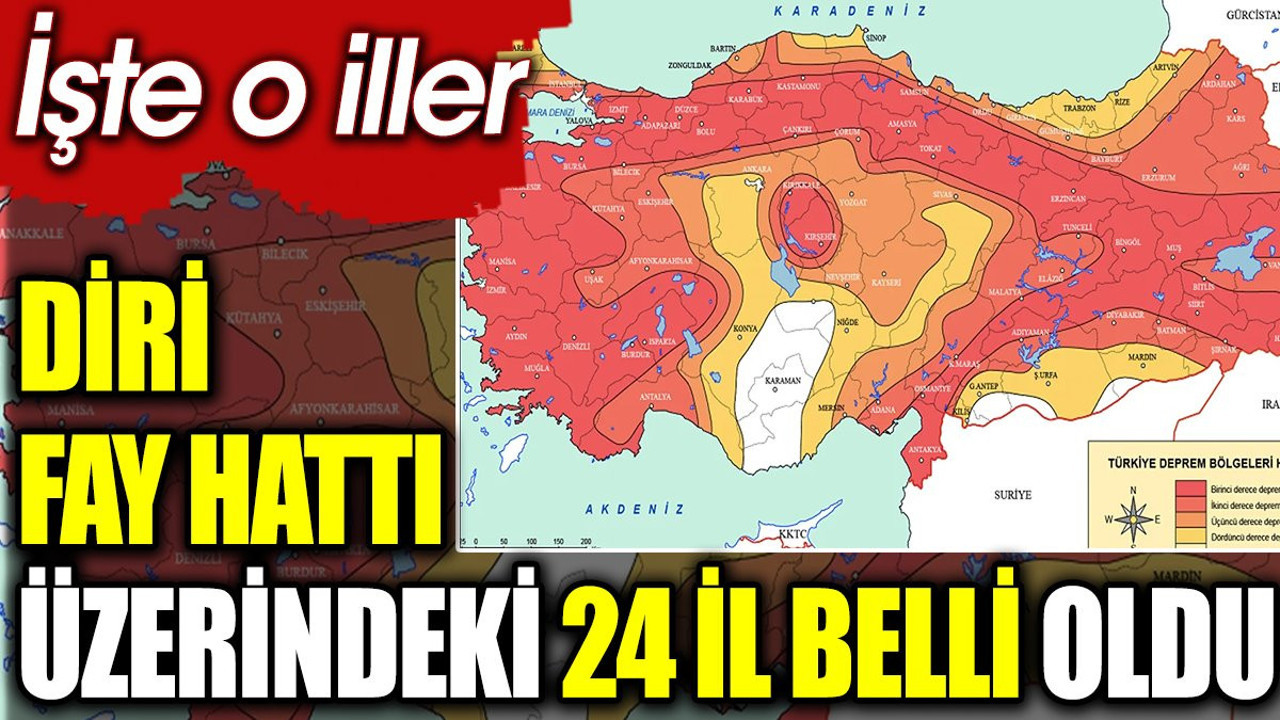 Diri fay hattı üzerindeki 24 il belli oldu. İşte o iller