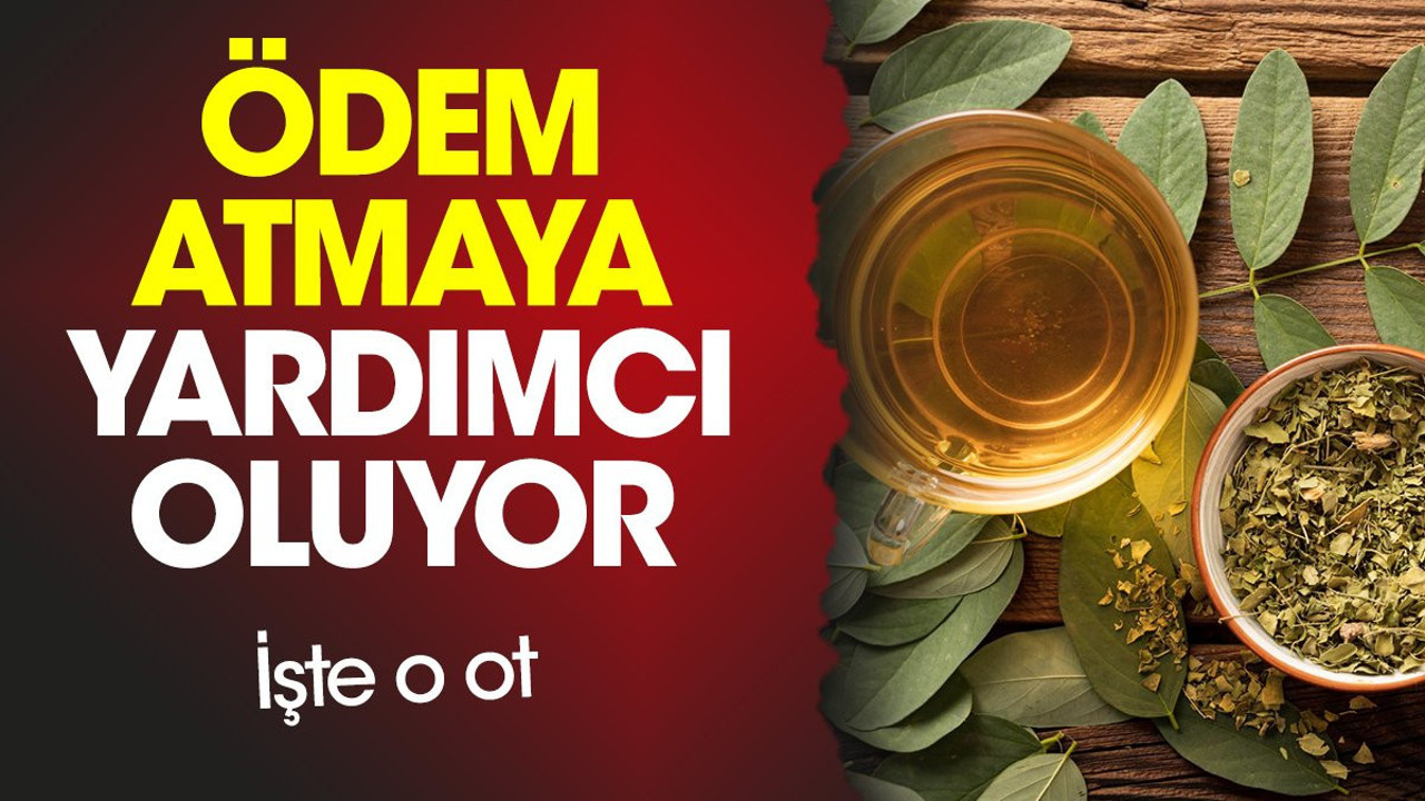 Ödem atmaya yardımcı oluyor. İşte o ot