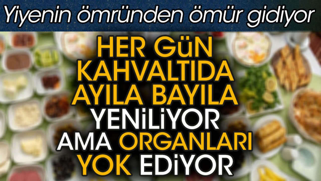 Her gün kahvaltıda ayıla bayıla yeniliyor ama organları yok ediyor. Yiyenin ömründen ömür gidiyor