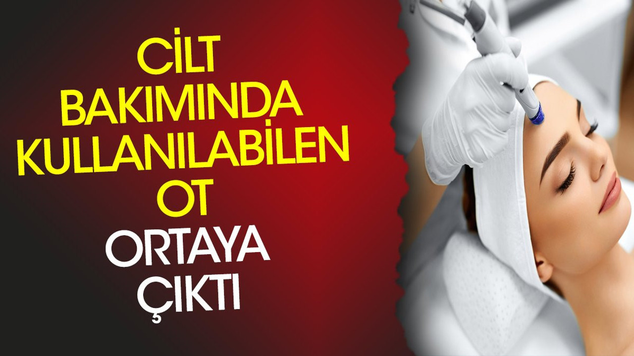 Cilt bakımında kullanılabilen ot ortaya çıktı