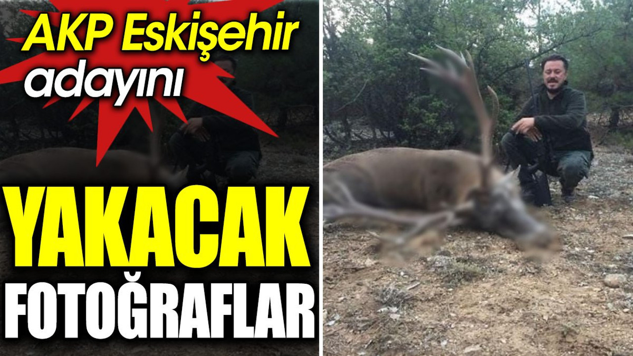 AKP Eskişehir adayını yakacak fotoğraflar