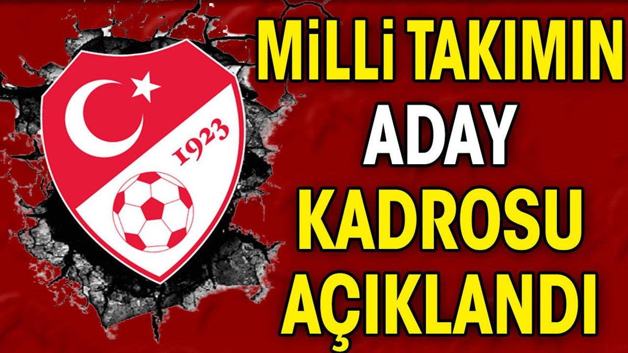Milli takımın aday kadrosu açıklandı (11 Mart 2024)