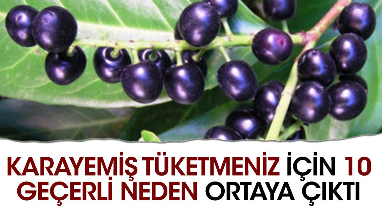 Karayemiş tüketmeniz için 10 geçerli neden ortaya çıktı