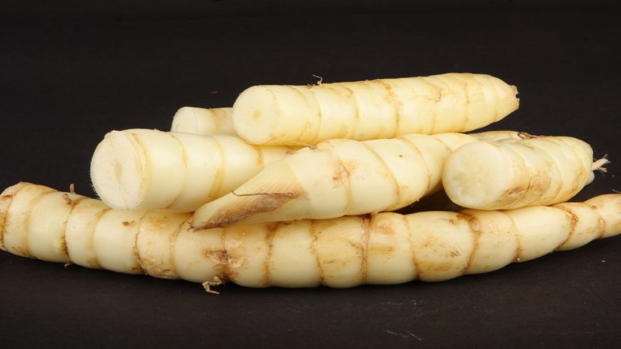 Arar otu nelere iyi geliyor? İşte mucizeleri...