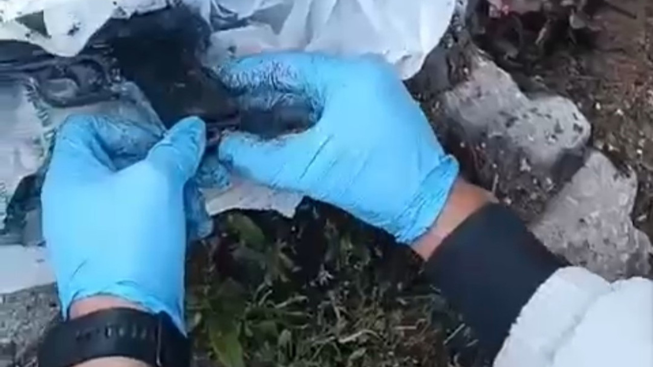 7 adrese eş zamanlı silah operasyonu