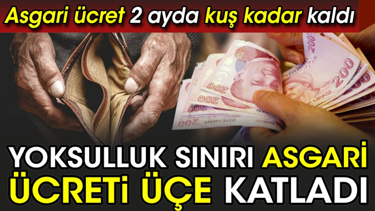 Yoksulluk sınırı asgari ücreti üçe katladı. Asgari ücret 2 ayda kuş kadar kaldı