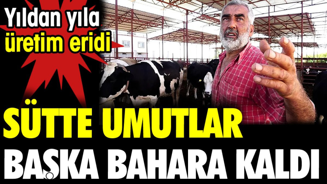 Sütte umutlar başka bahara kaldı. Yıldan yıla üretim eridi