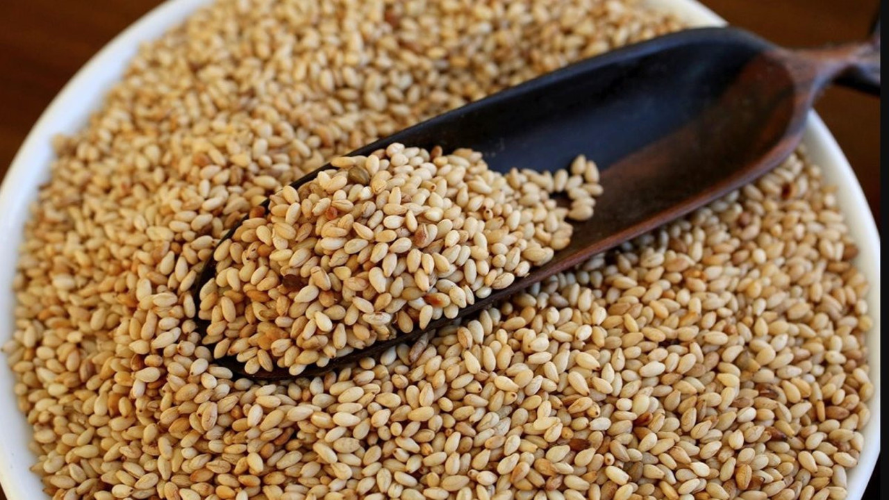 Türkiye’nin 2024’te susam ihracatı