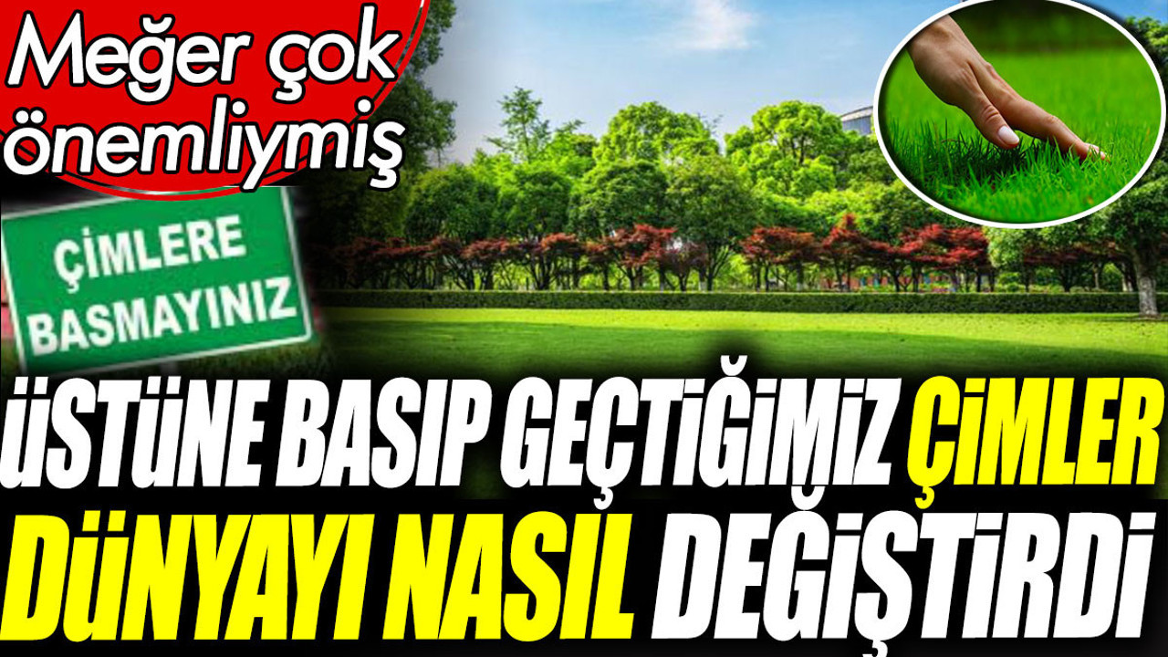 Üstüne basıp geçtiğimiz çimler dünyayı nasıl değiştirdi? Meğer çok önemliymiş