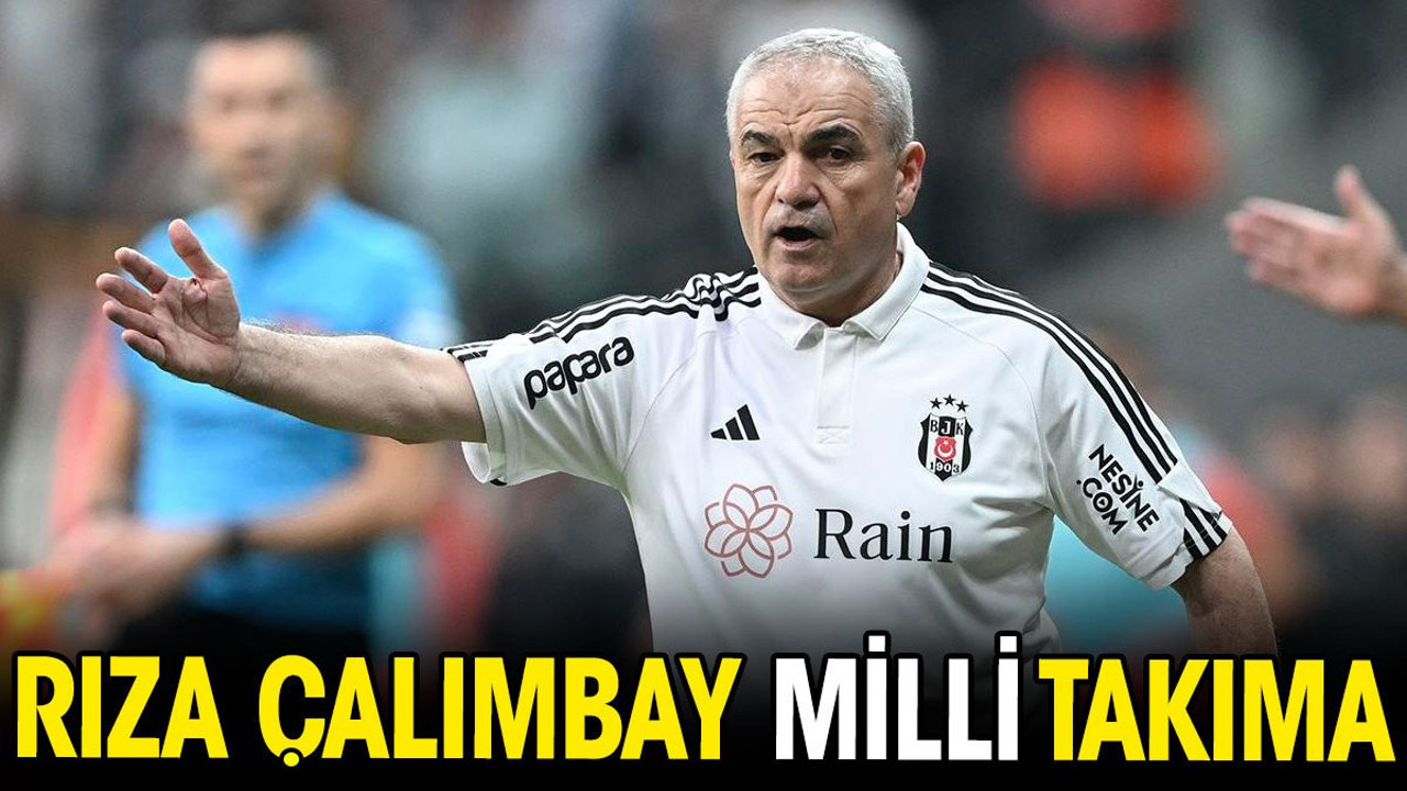 Rıza Çalımbay milli takıma