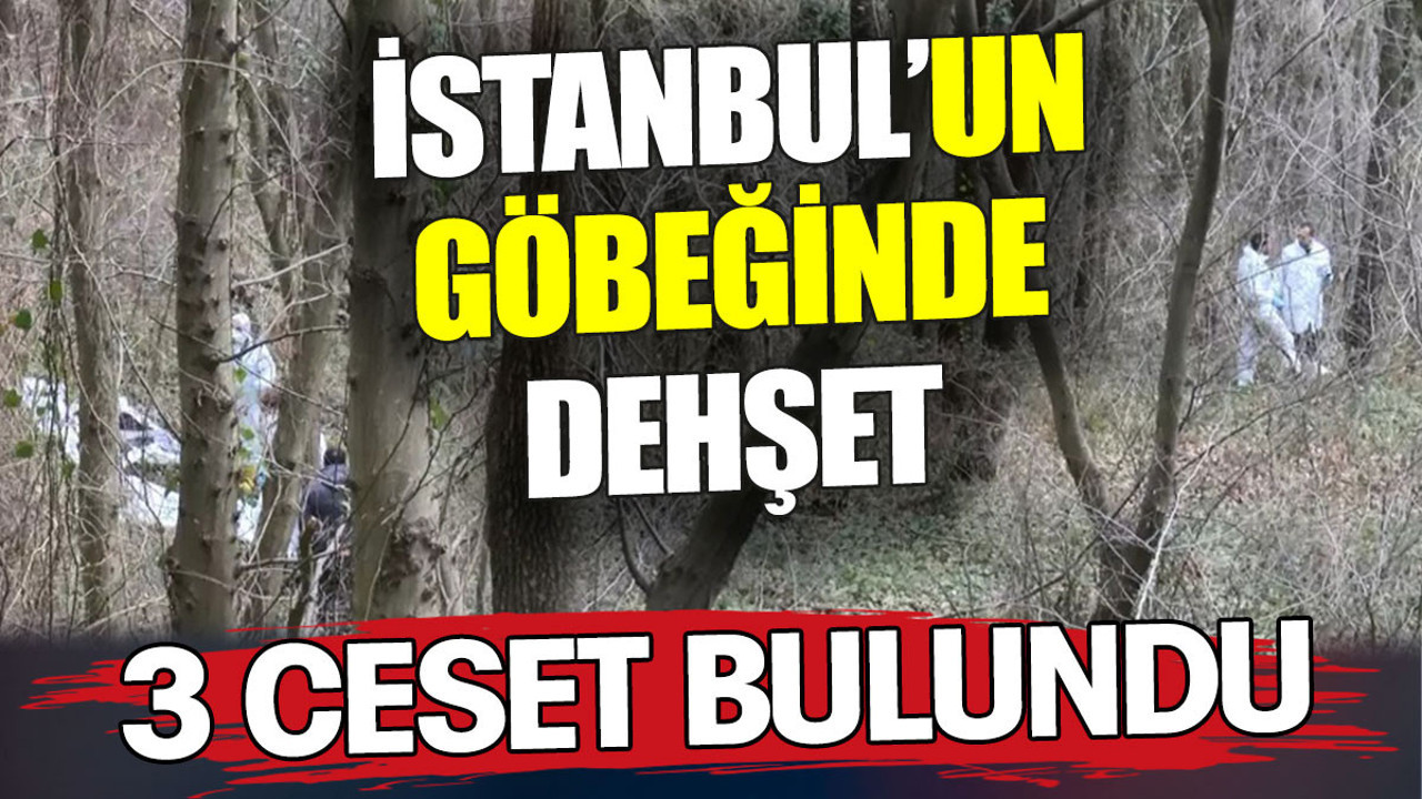 İstanbul’un göbeğinde dehşet. 3 ceset bulundu
