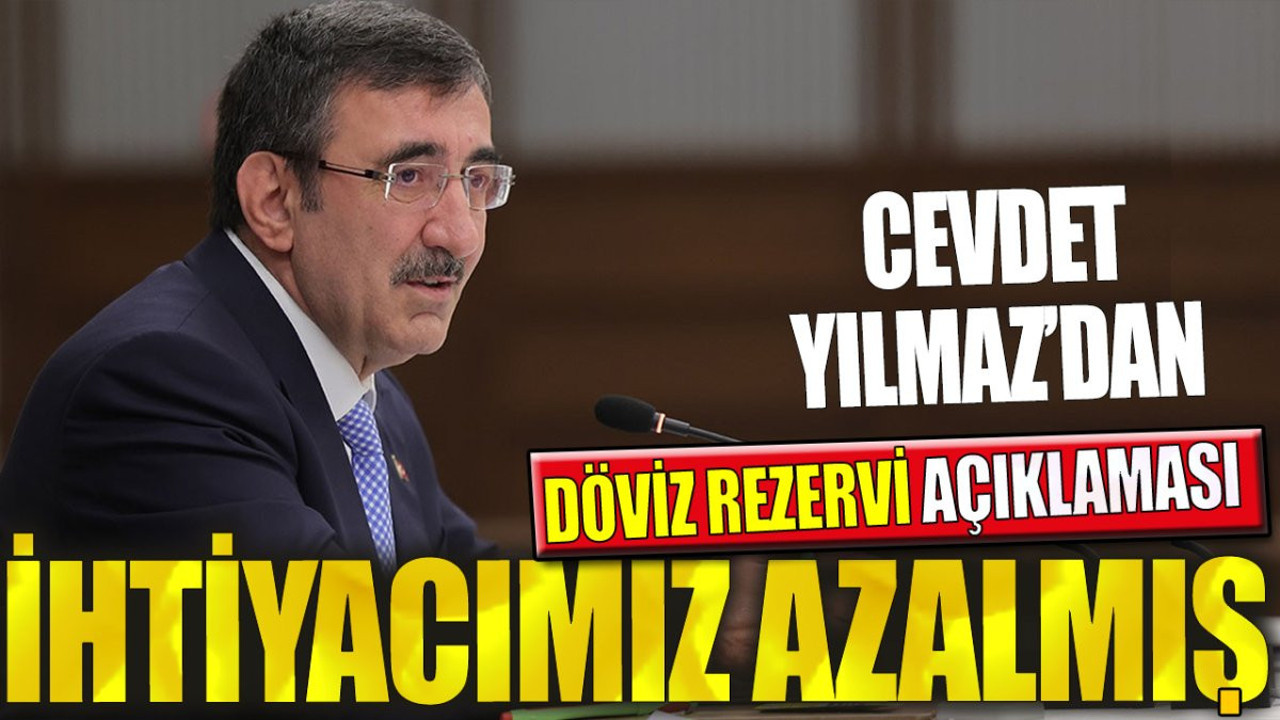 Cevdet Yılmaz'dan döviz rezervi açıklaması: İhtiyacımız azalmış...