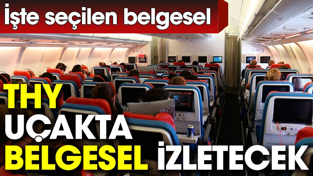 THY uçakta belgesel izletecek. İşte seçilen belgesel