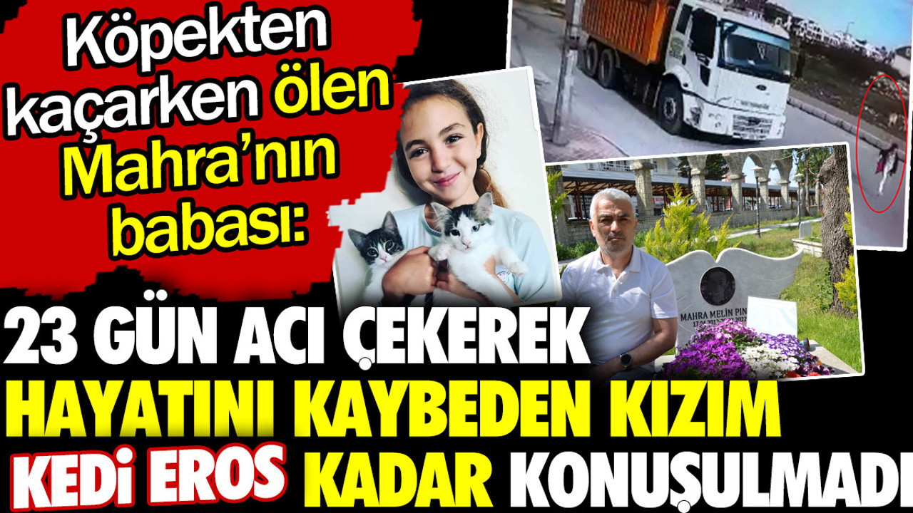 Köpekten kaçarken ölen Mahra'nın babası 'kızım Kedi Eros kadar konuşulmadı'