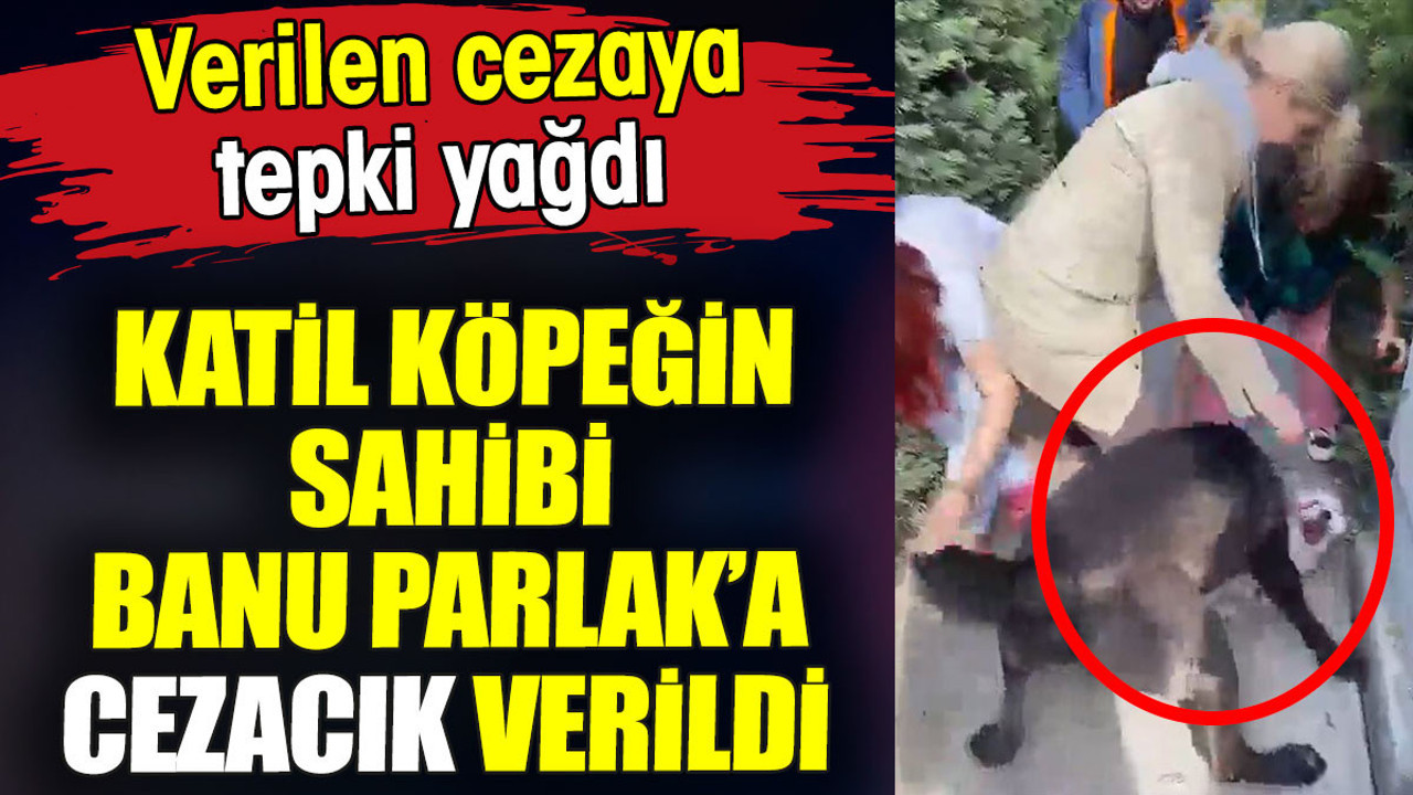 Katil köpeğin sahibi Banu Parlak'a cezacık verildi. Verilen cezaya tepki yağdı