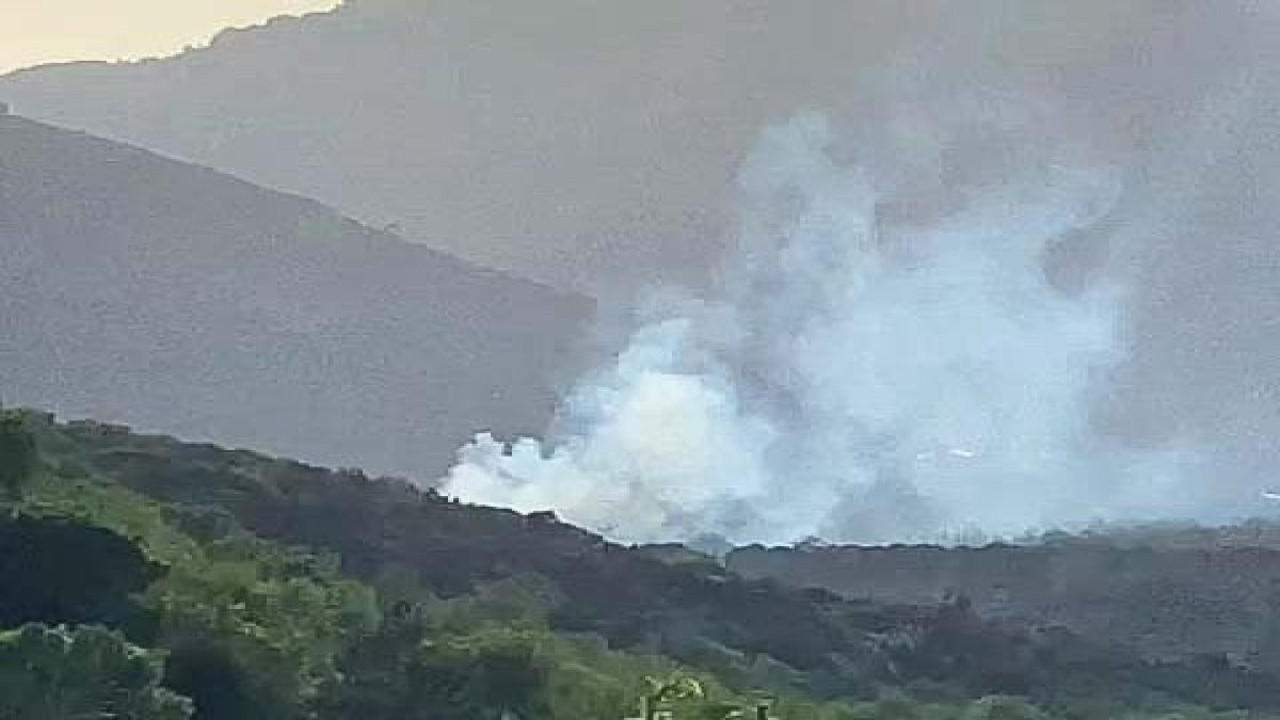 Muğla'da çıkan orman yangını büyümeden söndürüldü