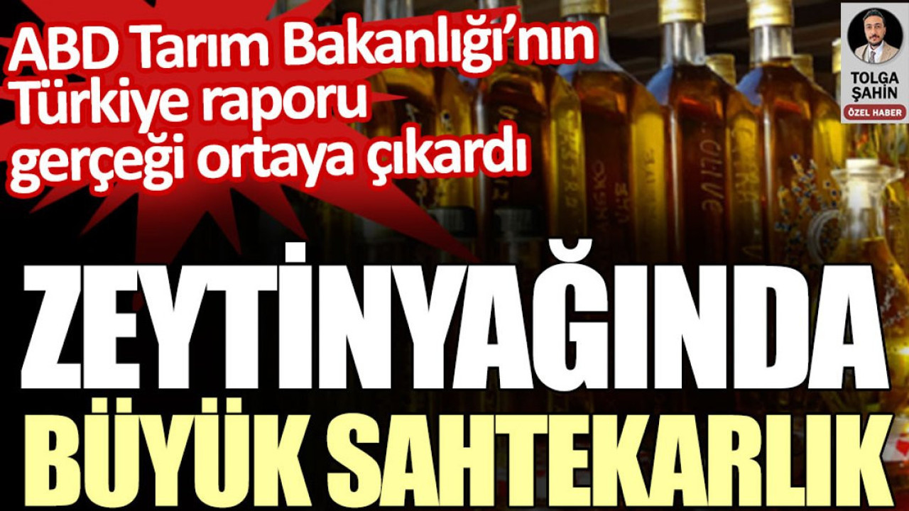 Zeytinyağındaki büyük sahtekarlığı ABD Tarım Bakanlığı’nın Türkiye raporu ortaya çıkardı