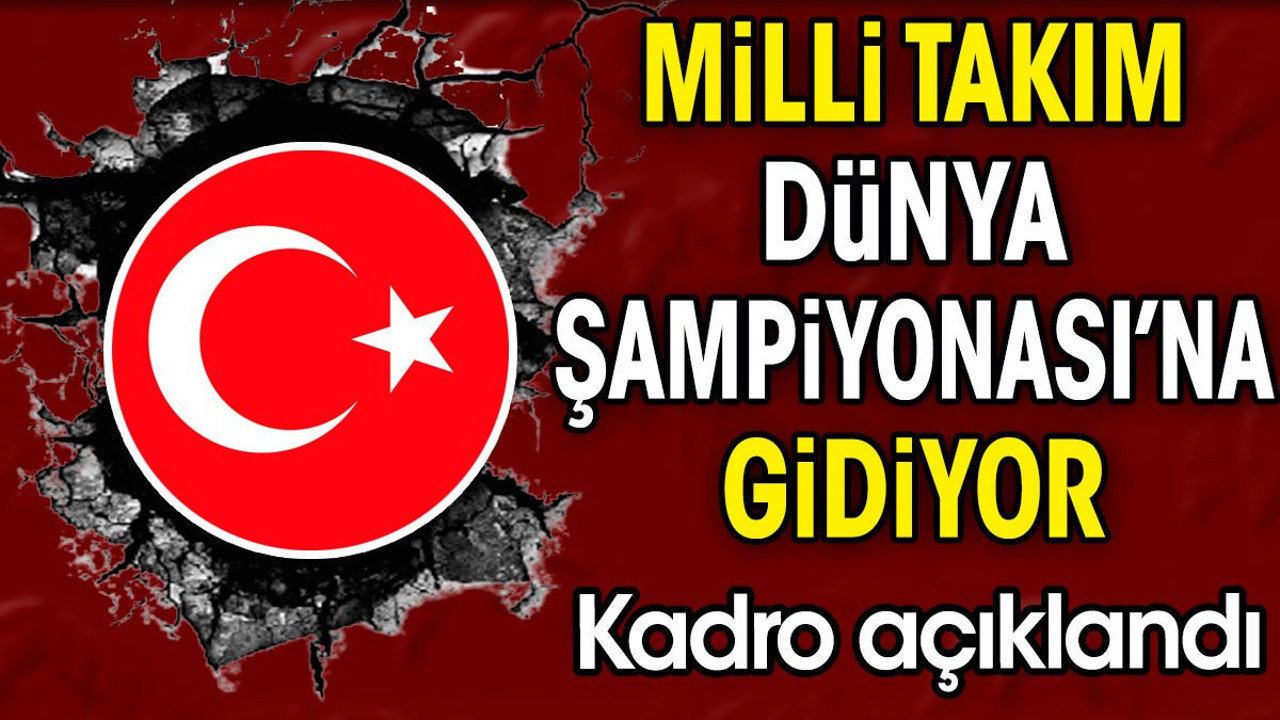 Milli takım Dünya Şampiyonası'na gidiyor. Kadro açıklandı