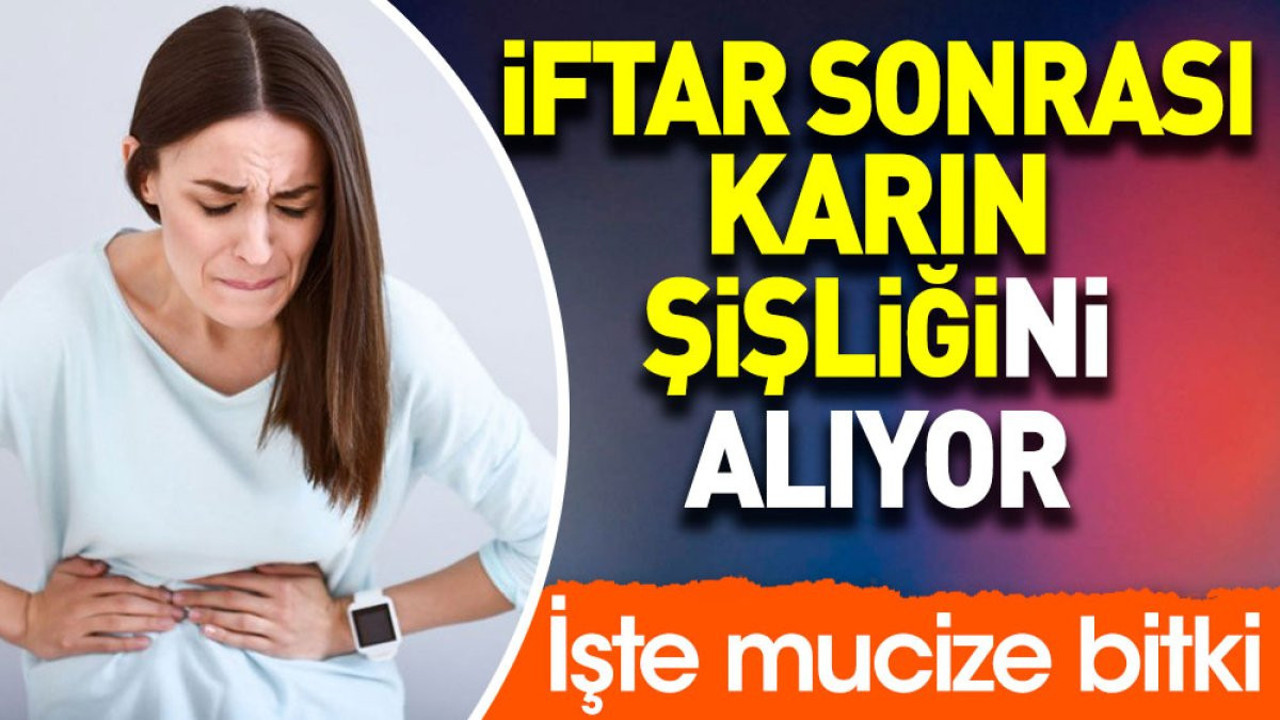 İftar sonrası karın şişliğini alıyor. İşte mucize bitki