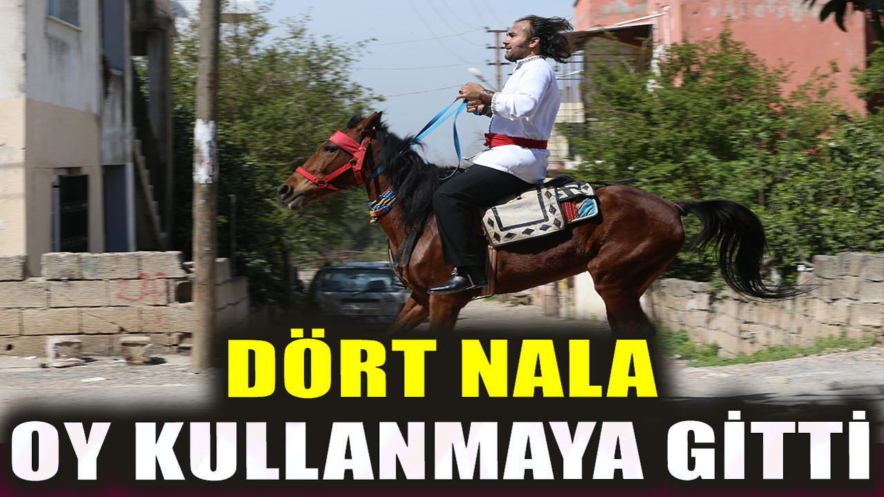 Dört nala oy kullanmaya gitti
